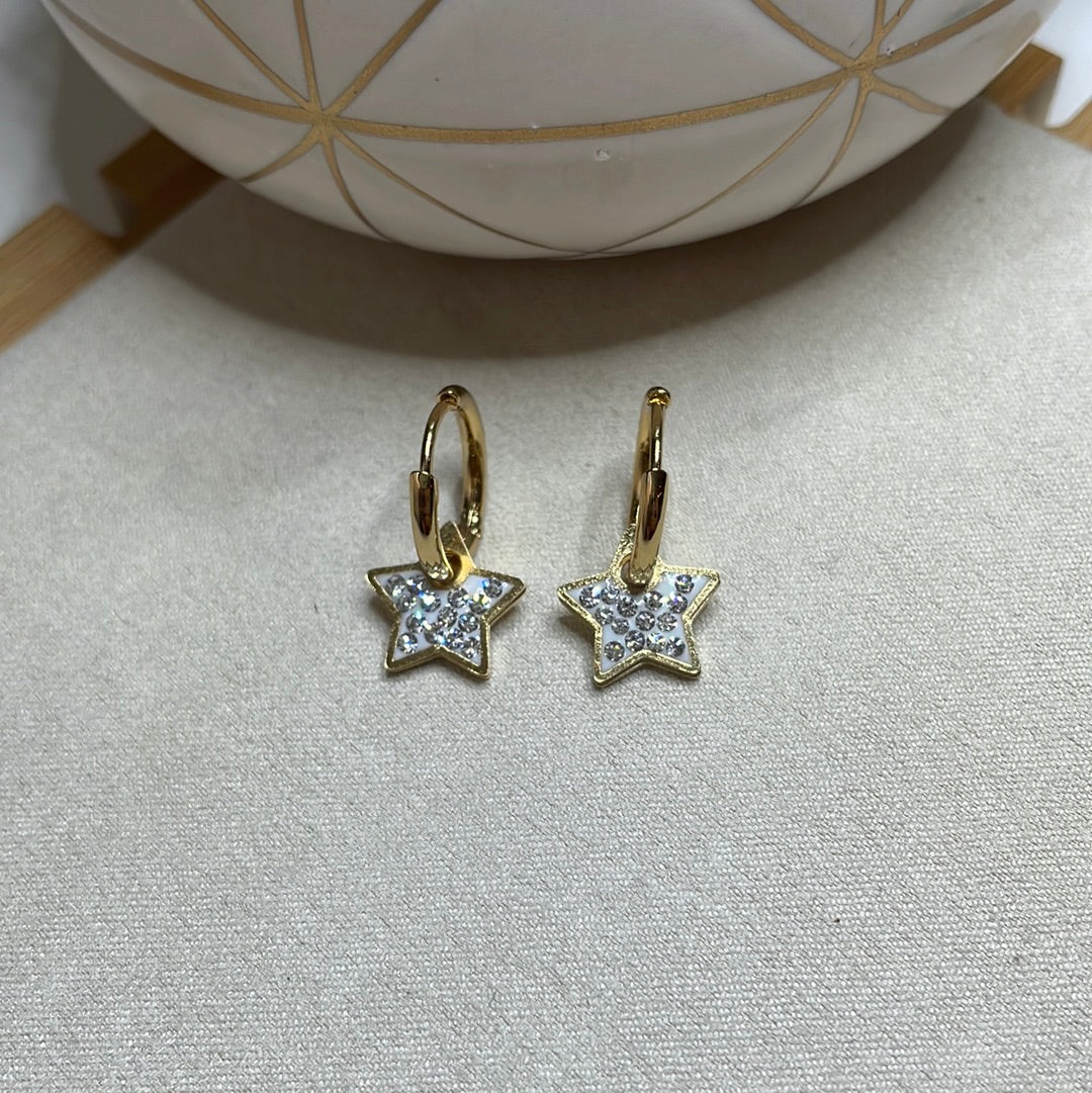 SHINY EARRING