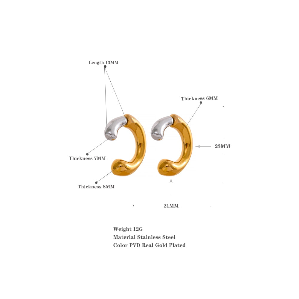 CONTRADICTION EARRING